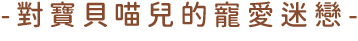 對寶貝喵兒的寵愛迷戀